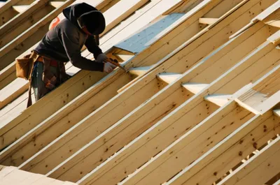 Illustration sark - Image 1