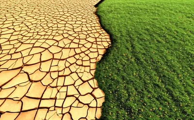 Illustration border - Image 1