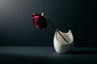 Illustration dead - Image 1