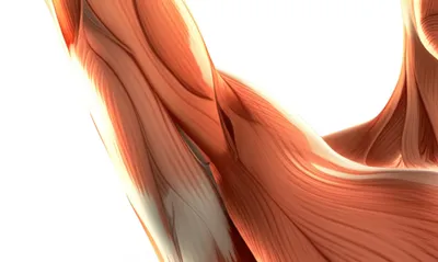 Illustration pit - Image 1