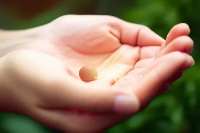 Illustration deposits - Image 1