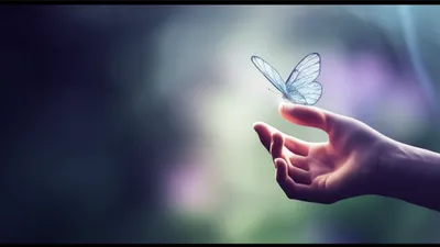 Illustration nigh - Image 1