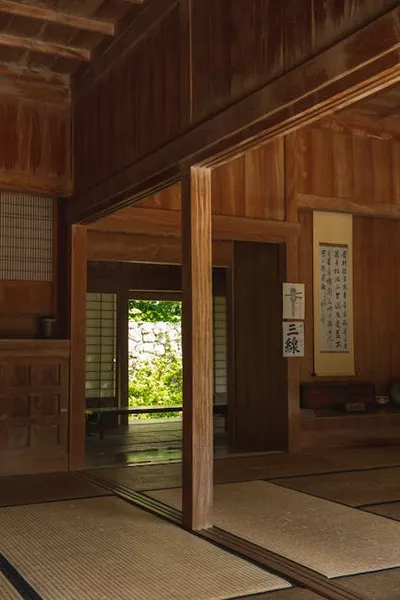 Illustration tatamis - Image 2