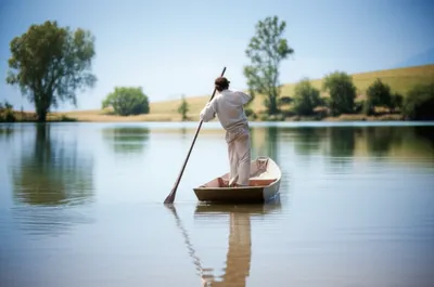 Illustration poling - Image 1