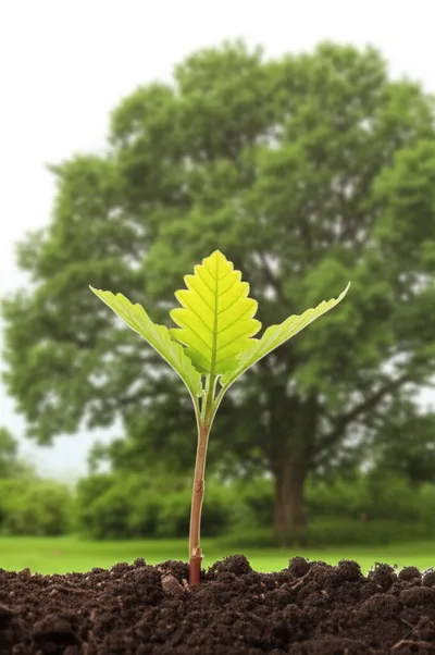 Illustration kid - Image 1