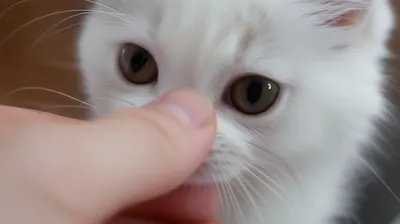 Illustration coax - Image 1