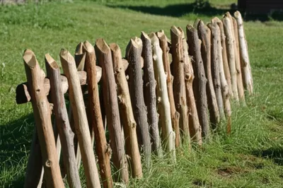 Illustration pallets - Image 1