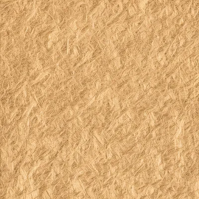 Illustration papyri - Image 1