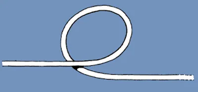 Illustration loop - Image 2