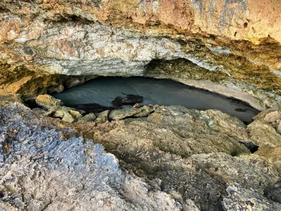 Illustration coastwise