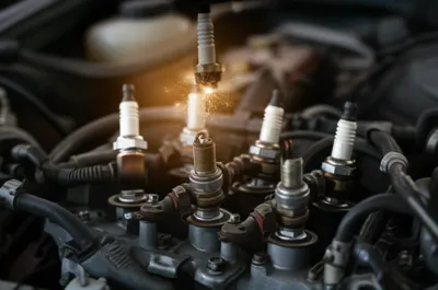 Illustration misfires - Image 1