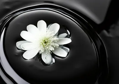 Illustration contaminating - Image 1