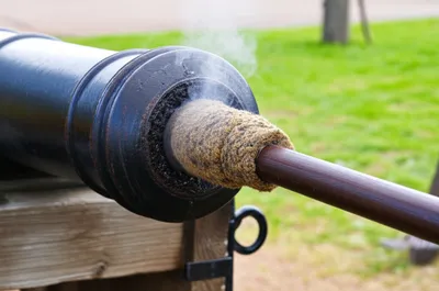 Illustration sponge - Image 1