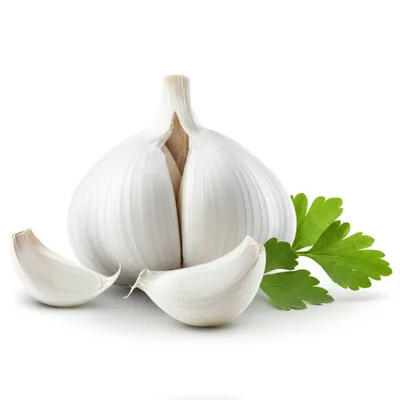 Illustration garlic