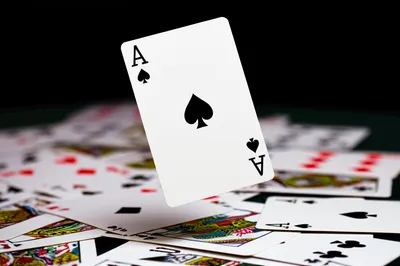 Illustration high - Image 1