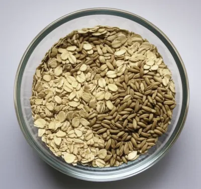 Illustration dredge - Image 1