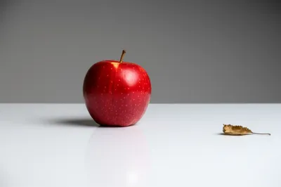 Illustration bating - Image 1