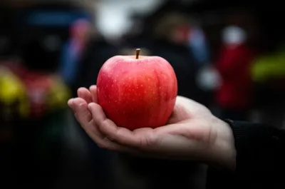 Illustration palming - Image 1