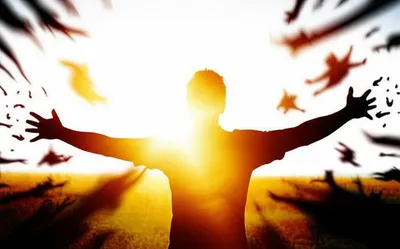 Illustration purge - Image 1