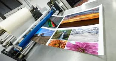 Illustration printing - Image 2