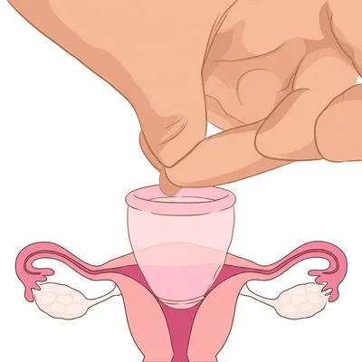 Illustration diaphragm - Image 1