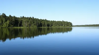 Illustration calm - Image 1