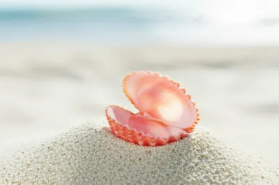 Illustration tuppence - Image 1