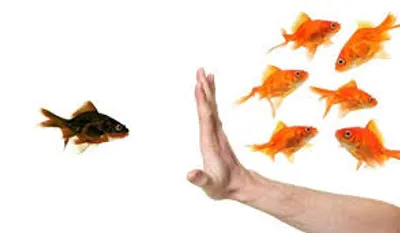 Illustration discrimination - Image 2