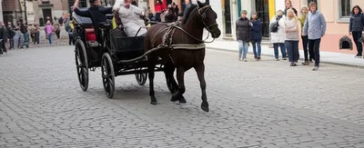 Illustration runaways - Image 1