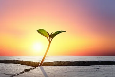 Illustration renewed - Image 1