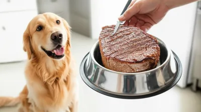 Illustration dag - Image 1