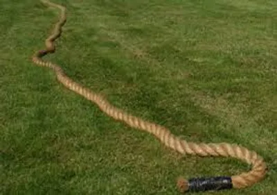 Illustration slacken - Image 2