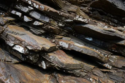 Hình ảnh minh họa biotite - Ảnh 1