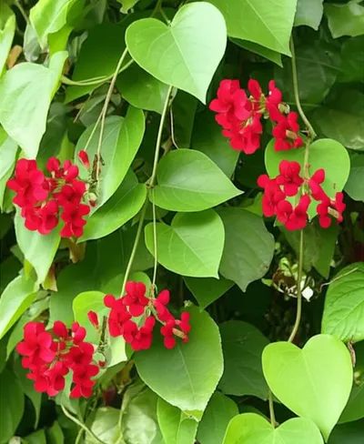 Illustration correspond - Image 1