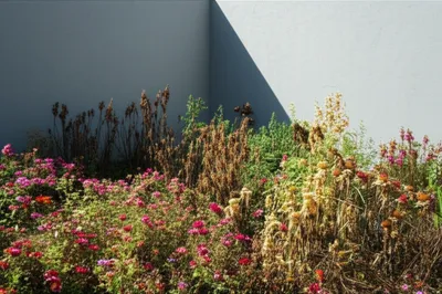 Illustration cancel - Image 1