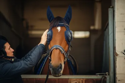 Illustration blinders - Image 1