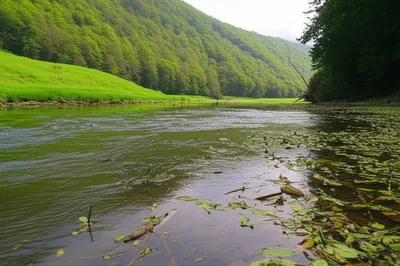 Illustration downstream - Image 1