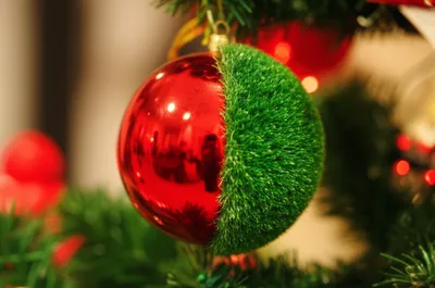 Illustration flocked - Image 1