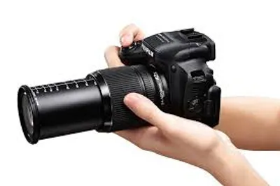 Illustration zoom - Image 3