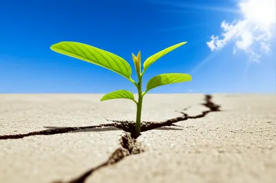 Illustration rebooted - Image 1