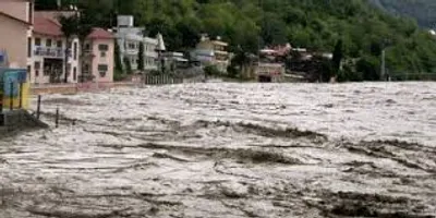 Illustration spate - Image 2