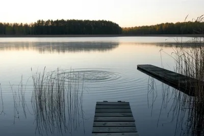 Illustration lakeside - Image 1