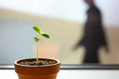 Illustration disowning - Image 1