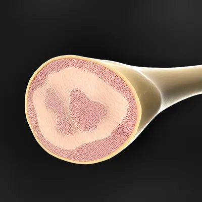 Illustration cambia - Image 1