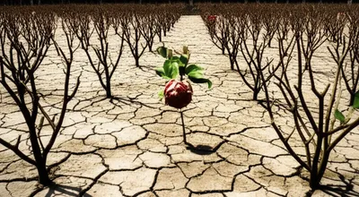 Illustration blighted - Image 1