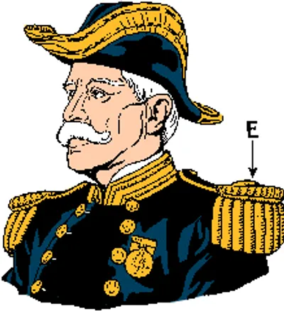 Illustration epaulet - Image 2