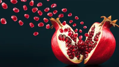 Illustration burst - Image 1