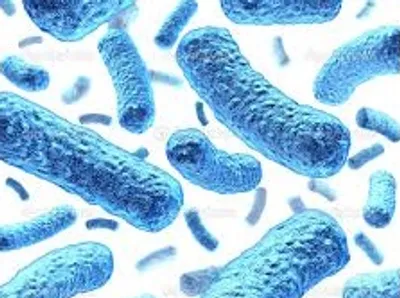 Illustration bacteria - Image 2