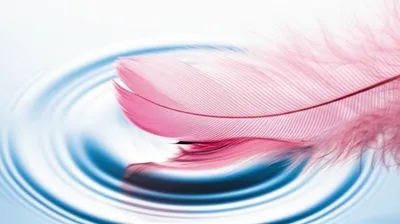 Illustration soft - Image 1