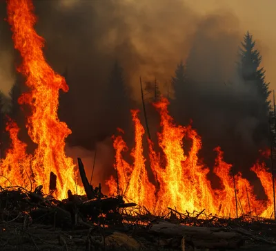 Illustration runaway - Image 1